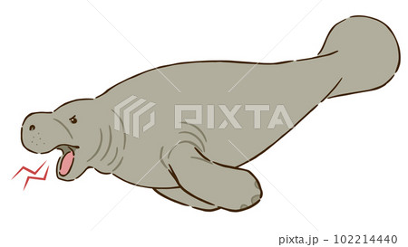 怒るマナティー 102214440