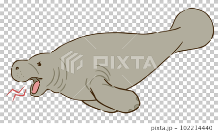 怒るマナティー 102214440