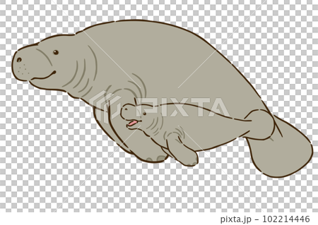 manatee family 102214446
