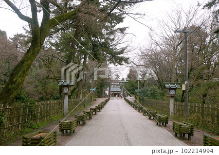 高岡古城公園にある越中総社射水神社の参道/富山県高岡市 高岡古城公園にある越中総社射水神社の参道/富山県高岡市 102214994