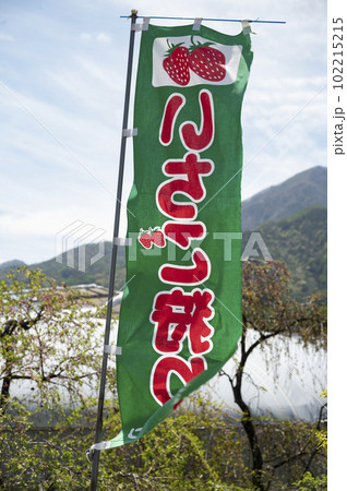 いちご狩リの昇り 102215215