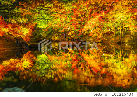 【高松市】栗林公園　秋のライトアップ【紅葉】 102215434