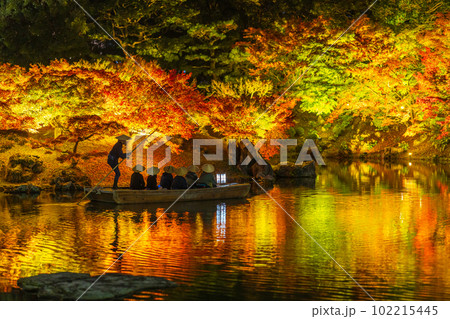 【高松市】栗林公園 秋のライトアップ【紅葉】 【高松市】栗林公園 秋のライトアップ【紅葉】 102215445