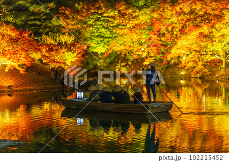 【高松市】栗林公園 秋のライトアップ【紅葉】 【高松市】栗林公園 秋のライトアップ【紅葉】 102215452