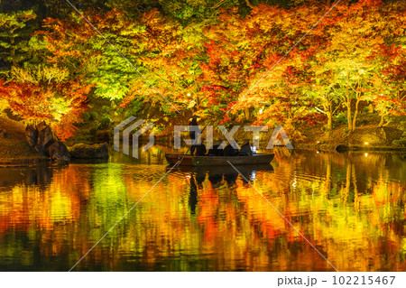 【高松市】栗林公園　秋のライトアップ【紅葉】 102215467