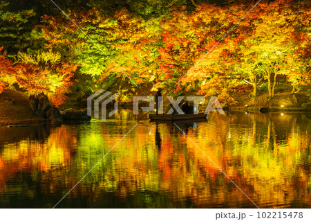 【高松市】栗林公園　秋のライトアップ【紅葉】 102215478