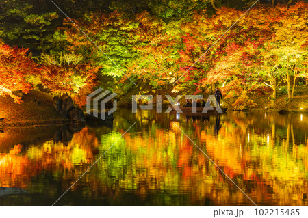 【高松市】栗林公園　秋のライトアップ【紅葉】 102215485