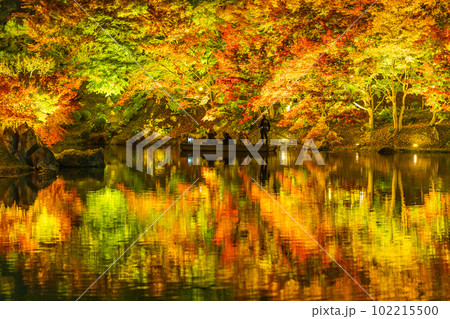 【高松市】栗林公園 秋のライトアップ【紅葉】 【高松市】栗林公園 秋のライトアップ【紅葉】 102215500