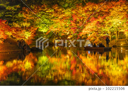 【高松市】栗林公園 秋のライトアップ【紅葉】 【高松市】栗林公園 秋のライトアップ【紅葉】 102215506