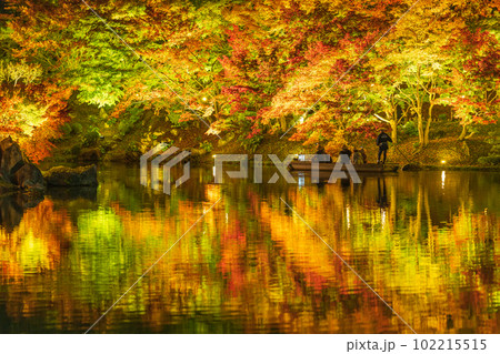 【高松市】栗林公園　秋のライトアップ【紅葉】 102215515