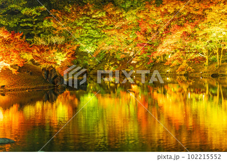 【高松市】栗林公園 秋のライトアップ【紅葉】 【高松市】栗林公園 秋のライトアップ【紅葉】 102215552
