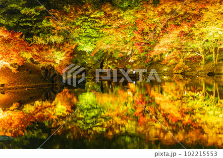 【高松市】栗林公園　秋のライトアップ【紅葉】 102215553