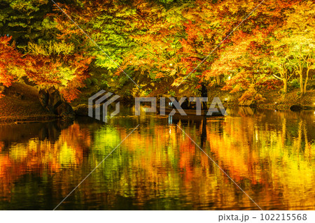 【高松市】栗林公園 秋のライトアップ【紅葉】 【高松市】栗林公園 秋のライトアップ【紅葉】 102215568