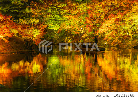 【高松市】栗林公園 秋のライトアップ【紅葉】 【高松市】栗林公園 秋のライトアップ【紅葉】 102215569