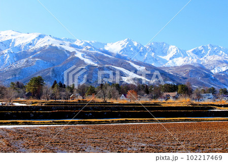 3月の白馬村からの北アルプス　      麗しき北アルプス　　積雪の北アルプス 102217469