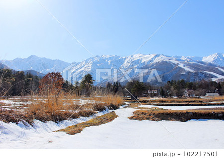 3月の白馬村からの北アルプス 麗しき北アルプス 積雪の北アルプス 3月の白馬村からの北アルプス 麗しき北アルプス 積雪の北アルプス 102217501