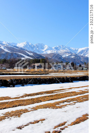 3月の白馬村からの北アルプス 麗しき北アルプス 積雪の北アルプス 3月の白馬村からの北アルプス 麗しき北アルプス 積雪の北アルプス 102217516