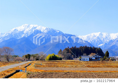 3月の信濃大町からの北アルプス　      麗しき北アルプス　　積雪の北アルプス 102217964