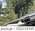 屋根でくつろぐ平和なネコ 102219105