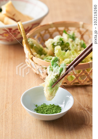 たらの芽の天ぷらを抹茶塩で食す 102219260