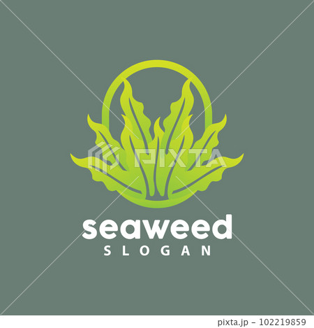 Seaweed Logo, Underwater Plant Vector, Simple Leaf Design, Illustration Template Symbol Icon 102219859