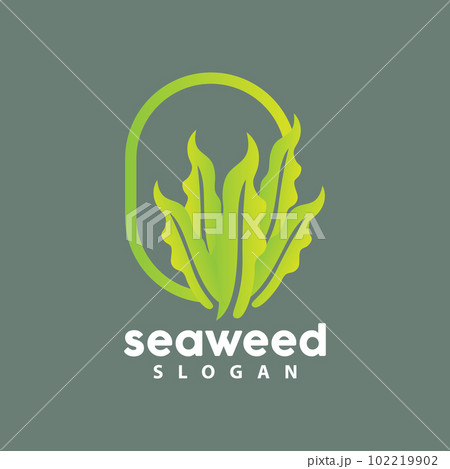 Seaweed Logo, Underwater Plant Vector, Simple Leaf Design, Illustration Template Symbol Icon Seaweed Logo, Underwater Plant Vector, Simple Leaf Design, Illustration Template Symbol Icon 102219902