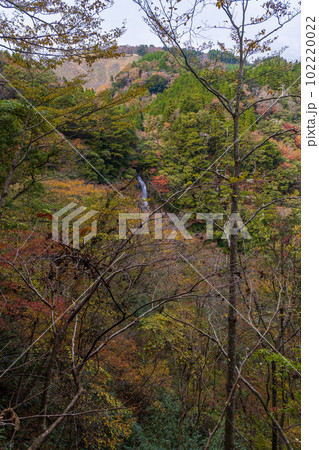 絶景 秋の紅葉に映える(せんだん轟の滝) 遊歩道から観える紅葉景色(五家荘)「熊本県八代市泉町柿迫」 絶景 秋の紅葉に映える(せんだん轟の滝) 遊歩道から観える紅葉景色(五家荘)「熊本県八代市泉町柿迫」 102220022