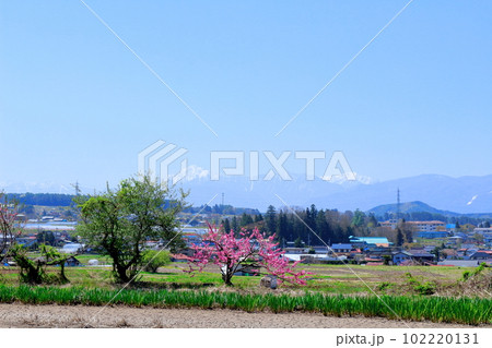 5月の八ヶ岳と南アルプス 麗しき八ヶ岳と南アルプス 八ヶ岳山麓と南アルプス 5月の八ヶ岳と南アルプス 麗しき八ヶ岳と南アルプス 八ヶ岳山麓と南アルプス 102220131