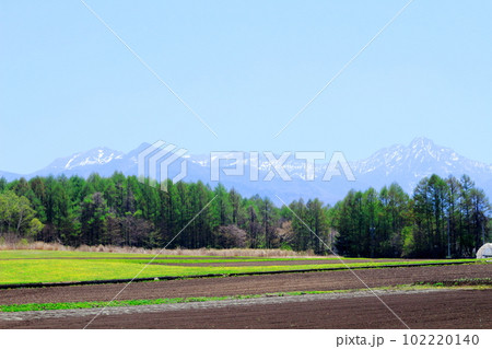 5月の八ヶ岳と南アルプス 麗しき八ヶ岳と南アルプス 八ヶ岳山麓と南アルプス 5月の八ヶ岳と南アルプス 麗しき八ヶ岳と南アルプス 八ヶ岳山麓と南アルプス 102220140