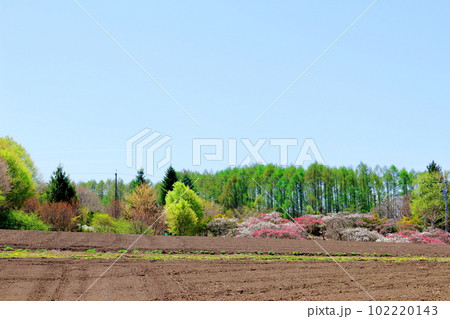 5月の八ヶ岳と南アルプス 麗しき八ヶ岳と南アルプス 八ヶ岳山麓と南アルプス 5月の八ヶ岳と南アルプス 麗しき八ヶ岳と南アルプス 八ヶ岳山麓と南アルプス 102220143