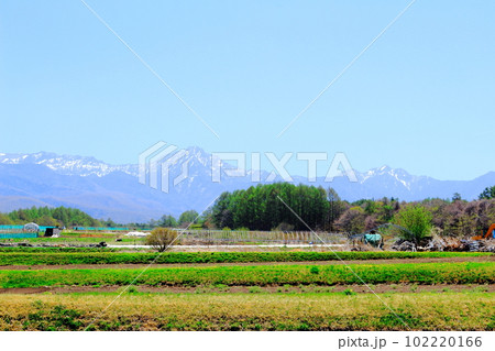 5月の八ヶ岳と南アルプス　　　麗しき八ヶ岳と南アルプス　　　八ヶ岳山麓と南アルプス　 102220166