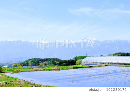 5月の八ヶ岳と南アルプス 麗しき八ヶ岳と南アルプス 八ヶ岳山麓と南アルプス 5月の八ヶ岳と南アルプス 麗しき八ヶ岳と南アルプス 八ヶ岳山麓と南アルプス 102220173