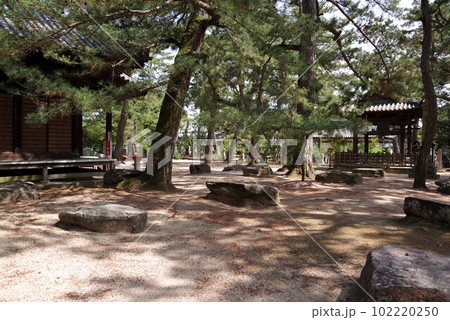 四国八十八箇所80番　国分寺 102220250