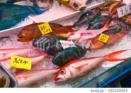 沖縄の市場 沖縄の市場 102220565