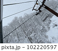 雪が降った後の栂池　長野県白馬村 102220597