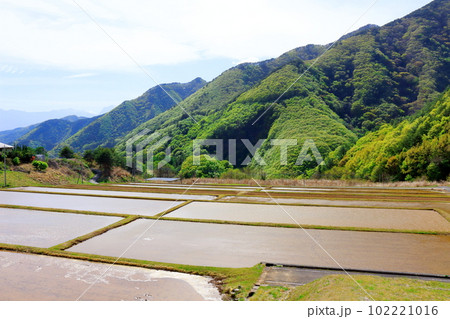 新緑の北杜地域　　　谷を彩る新緑　　　春の樹木　　花と植物が織りなす色紙　 102221016