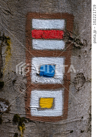 Tourist sign on tree bark. Marking of tourist routes 102221719