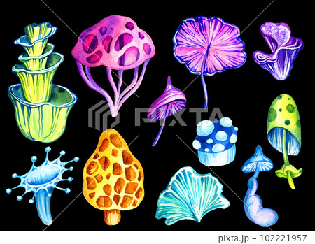 Set of fantastic cosmic mushrooms and stas on black background, watercolor hand draw illustration 102221957