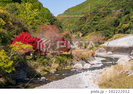 秋の紅葉に映える五家荘　せんだん轟(とどろ)の滝へ行く途中から観える紅葉に染まる景色(八代市泉町) 102222012