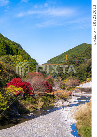秋の紅葉に映える五家荘 せんだん轟(とどろ)の滝へ行く途中から観える紅葉に染まる景色(八代市泉町) 秋の紅葉に映える五家荘 せんだん轟(とどろ)の滝へ行く途中から観える紅葉に染まる景色(八代市泉町) 102222013