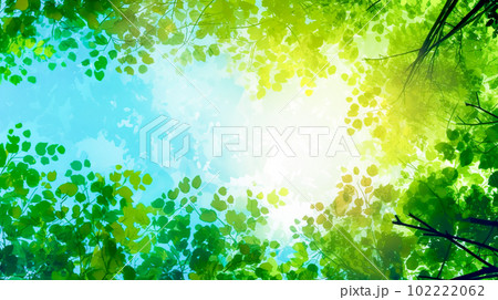 美しい木漏れ日のイラスト背景「AI生成画像」 美しい木漏れ日のイラスト背景「AI生成画像」 102222062