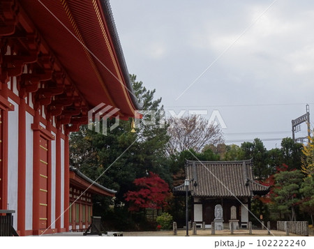古都奈良をめぐる　薬師寺編 102222240