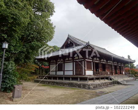 古都奈良をめぐる　薬師寺編 102222249