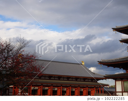 古都奈良をめぐる 薬師寺編 古都奈良をめぐる 薬師寺編 102222285