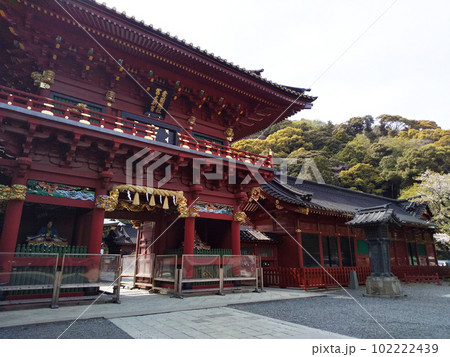 静岡県 静岡市 静岡浅間神社 写真 静岡県 静岡市 静岡浅間神社 写真 102222439