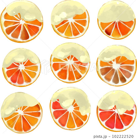 ホワイトチョコがけオレンジのベクターイラストセット 102222520