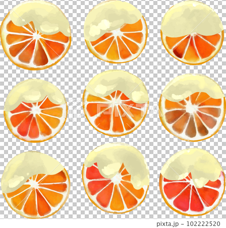 ホワイトチョコがけオレンジのベクターイラストセット 102222520