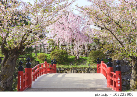 美しい日本の風景 春の朝弘前城 青森県 美しい日本の風景 春の朝弘前城 青森県 102222906