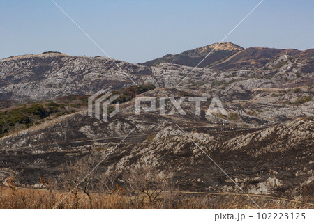 野焼き直後の平尾台 福岡県北九州市 野焼き直後の平尾台 福岡県北九州市 102223125