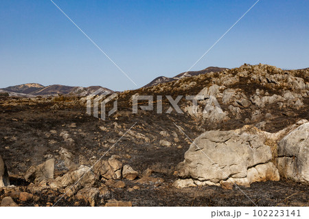 野焼き直後の平尾台　福岡県北九州市 102223141